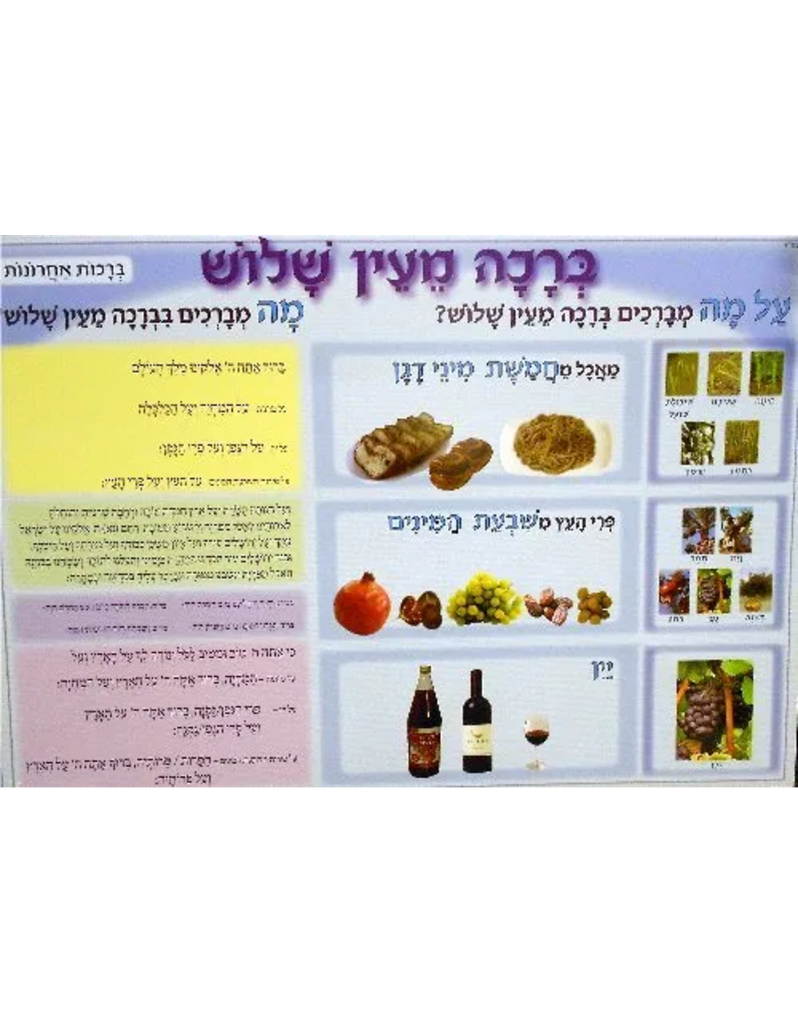POSTER: AL HAMICHYA