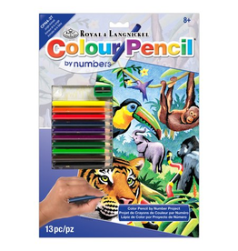 PENCIL BY NUMBER  - JUNGLE ANIMALS
