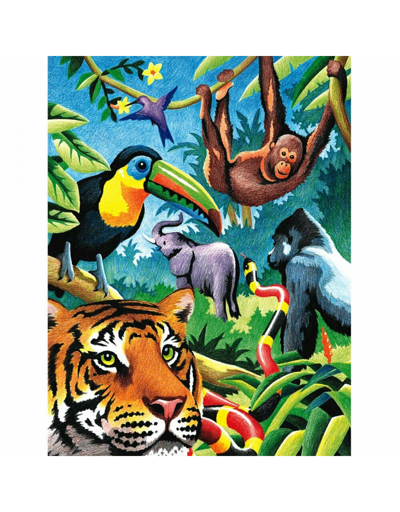 PENCIL BY NUMBER  - JUNGLE ANIMALS