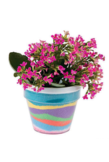 Sand Art Flower Pots 3.75"X4.25" 12 Pack