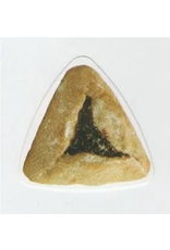 CUT OUT: PHOTO HAMANTASHEN