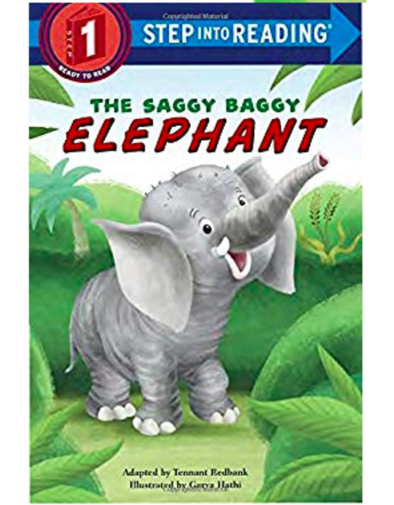 BOOK: THE SAGGY BAGGY ELEPHANT
