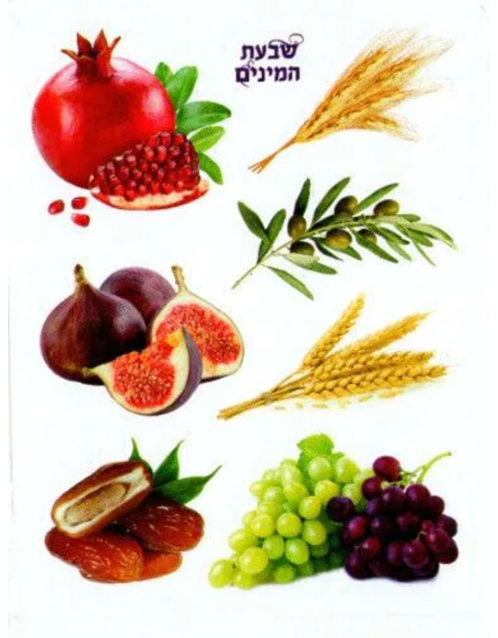 STICKERS: NEW SHIVAS HAMNIM 10 SHEETS