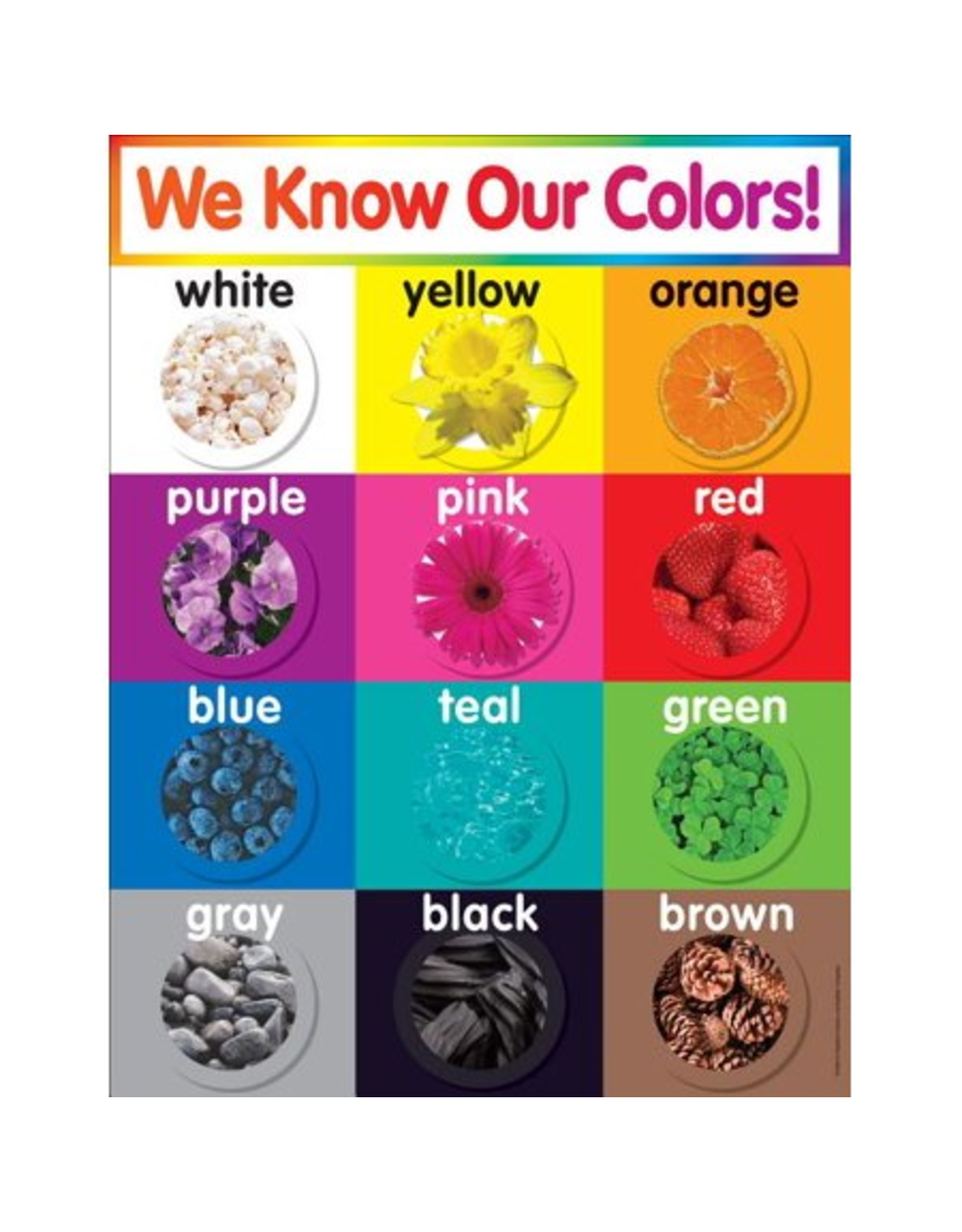 CHARTLET: WE KNOW OUR COLORS 17"X22"