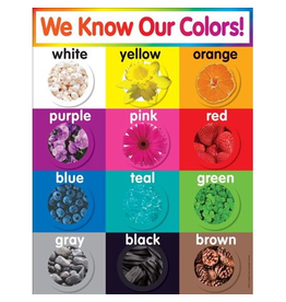 CHARTLET: WE KNOW OUR COLORS 17"X22"
