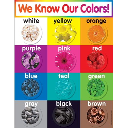 CHARTLET: WE KNOW OUR COLORS - Creative Kids
