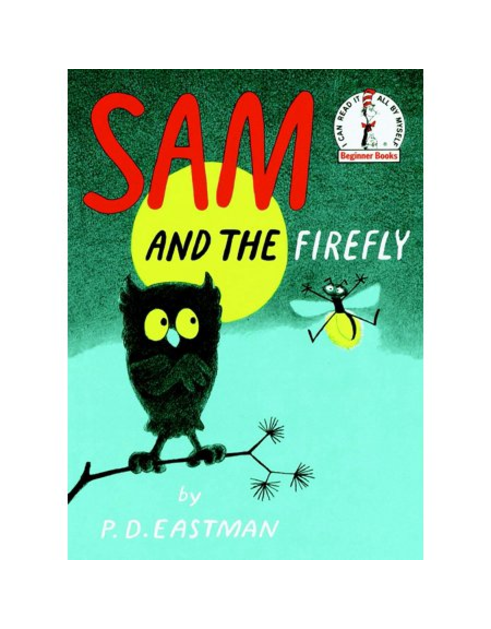 BOOK: SAM AND THE FIREFLY