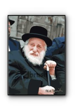 Jbrush JBRUSH PAINT BY NUMBER SKULENER REBBE 16"X20"