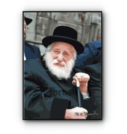 Jbrush JBRUSH PAINT BY NUMBER SKULENER REBBE 16"X20"