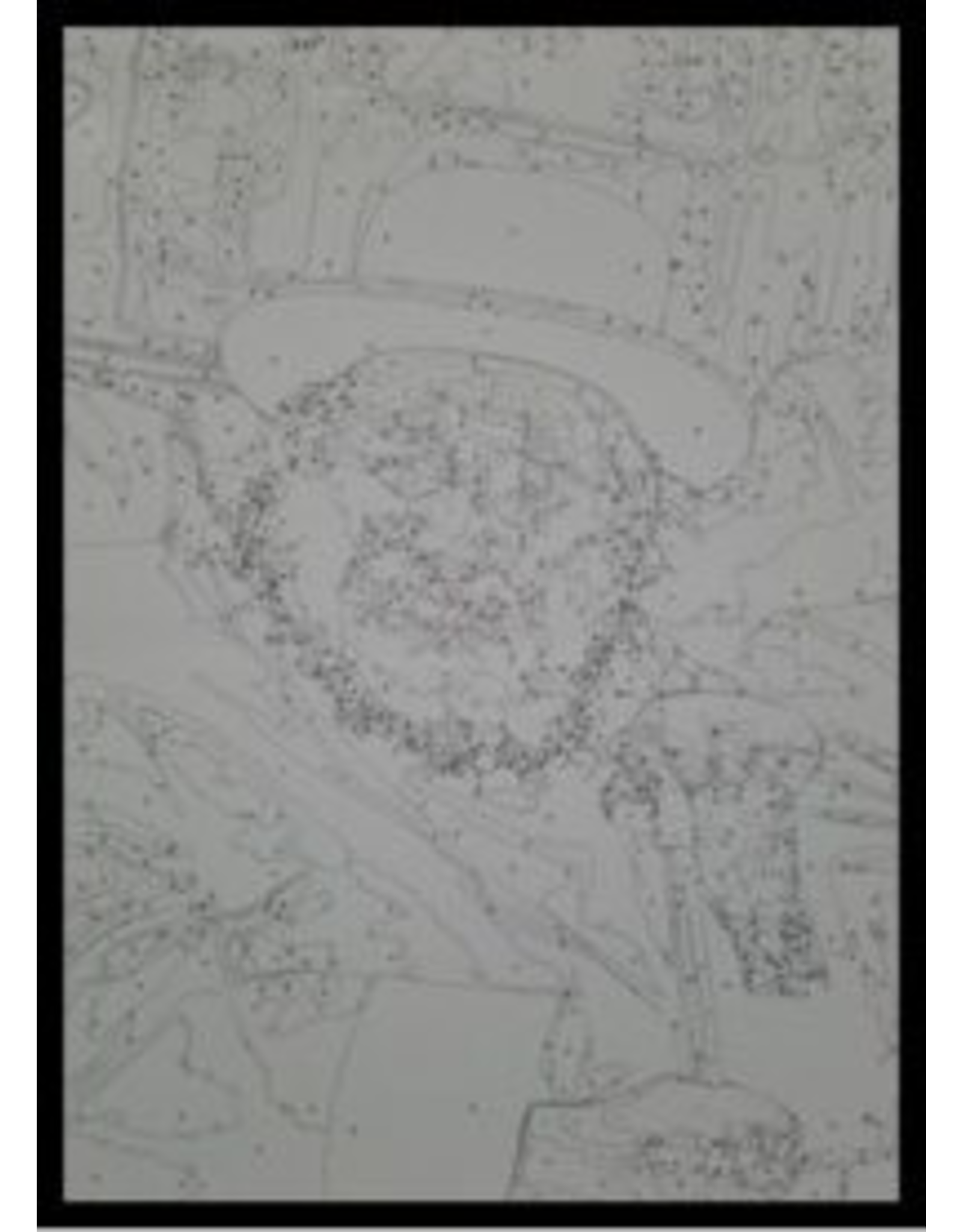 Jbrush JBRUSH PAINT BY NUMBER SKULENER REBBE 16"X20"