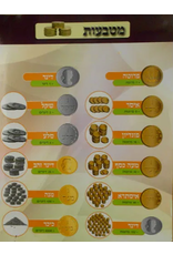 POSTER: MONEY IN GEMARA
