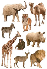 STICKERS: ZOO ANIMALS 10 SHEETS