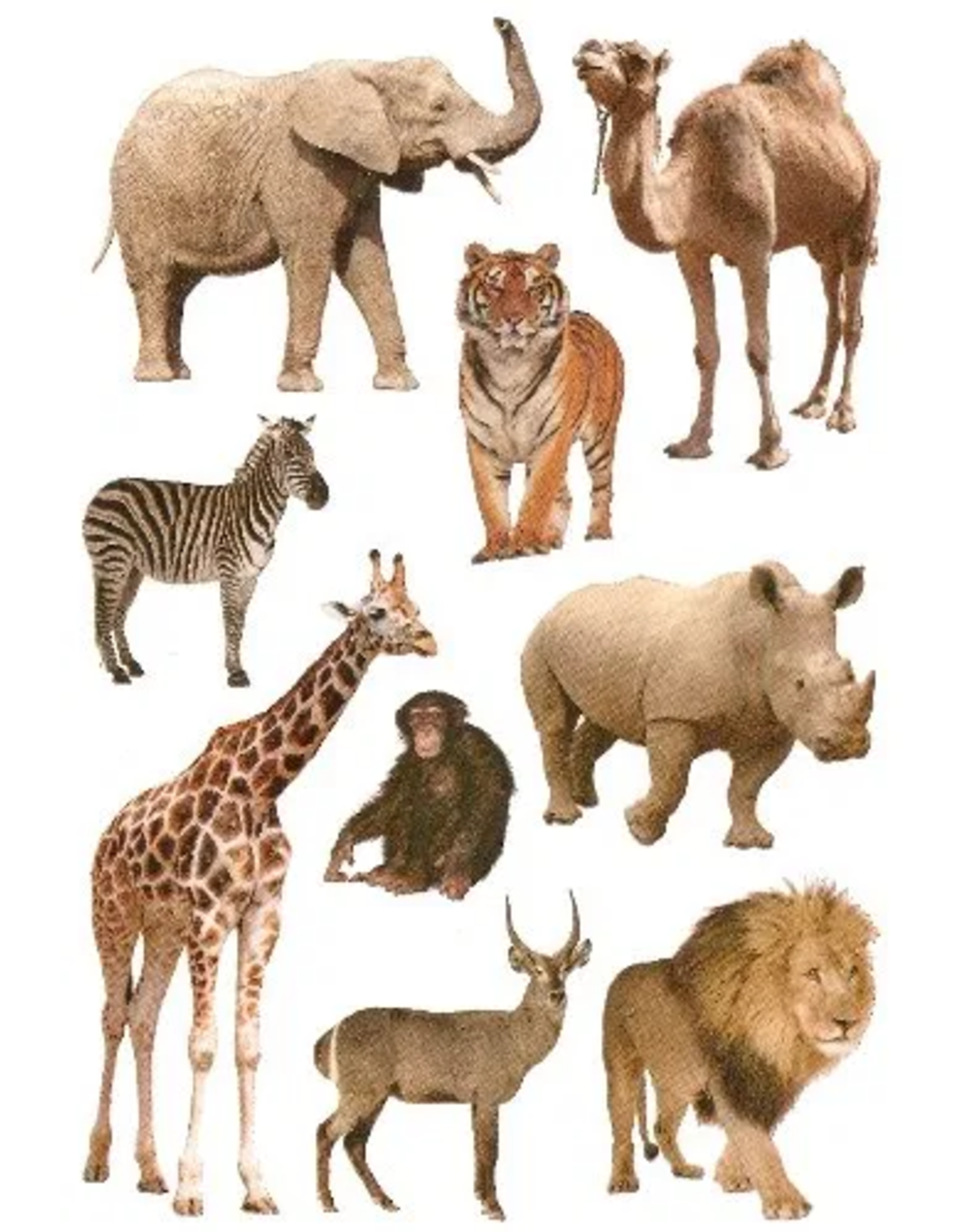 STICKERS: ZOO ANIMALS 10 SHEETS