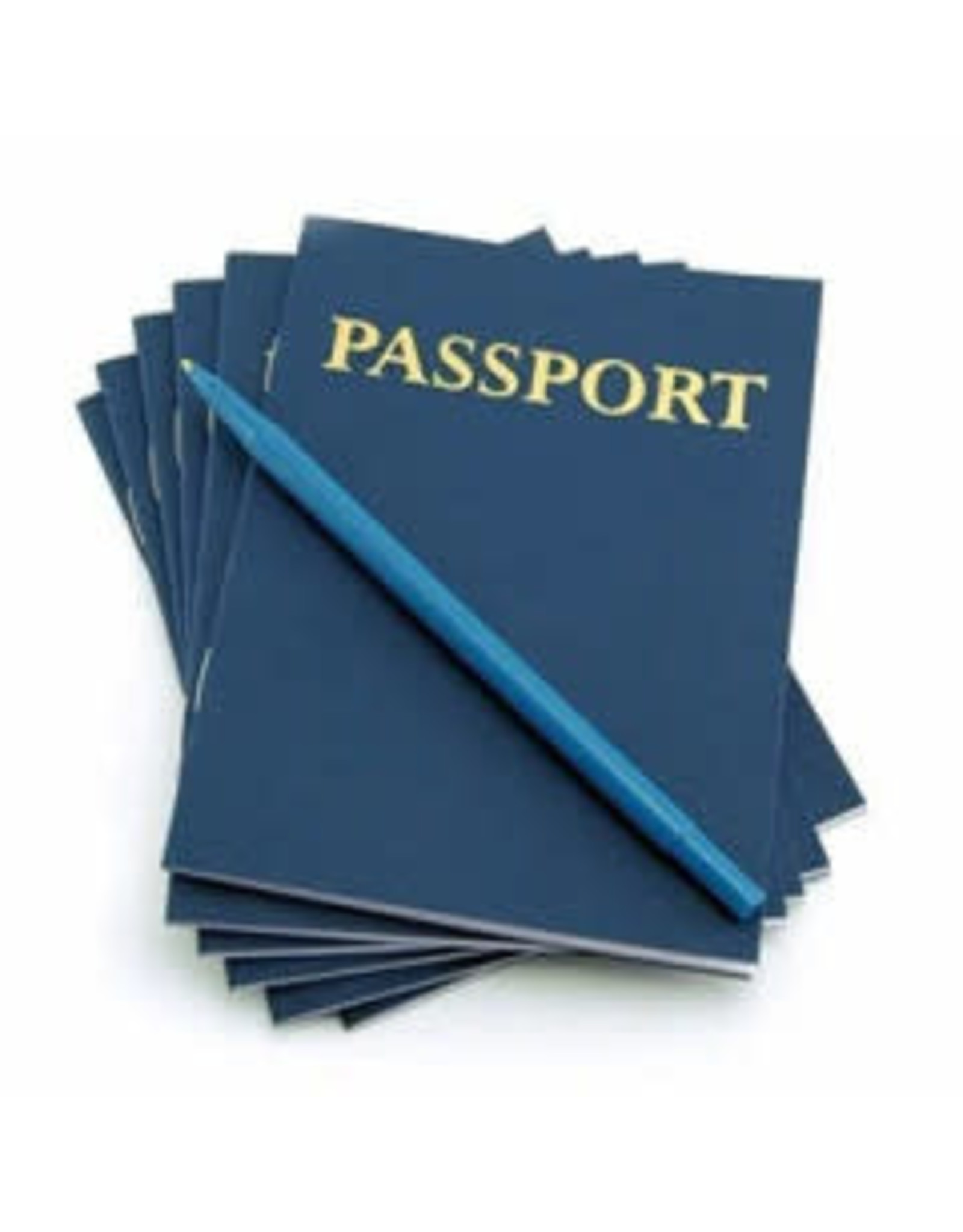 PASSPORT BOOKS  - 24 PAGES  BLANK 100/BOOKS