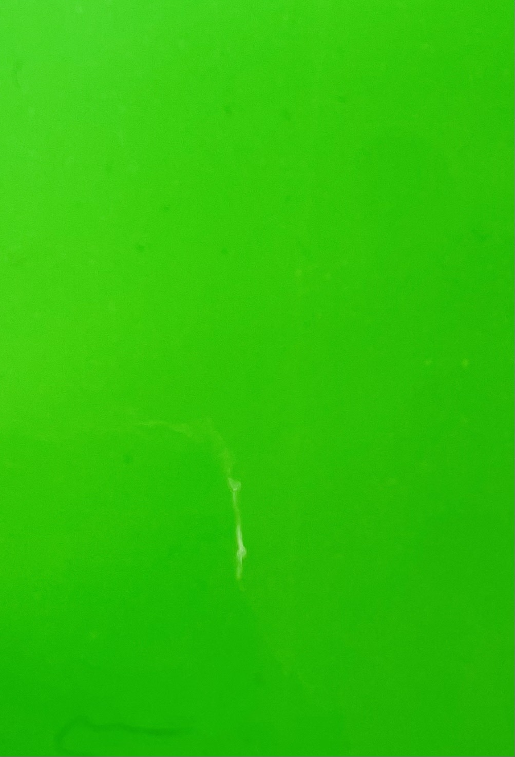 green-glossy-fluorescent-adhesive-paper-12x12-creative-kids