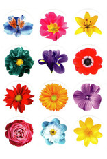 STICKERS: LARGE BRIGHT FLOWER DOT 10 SHEETS