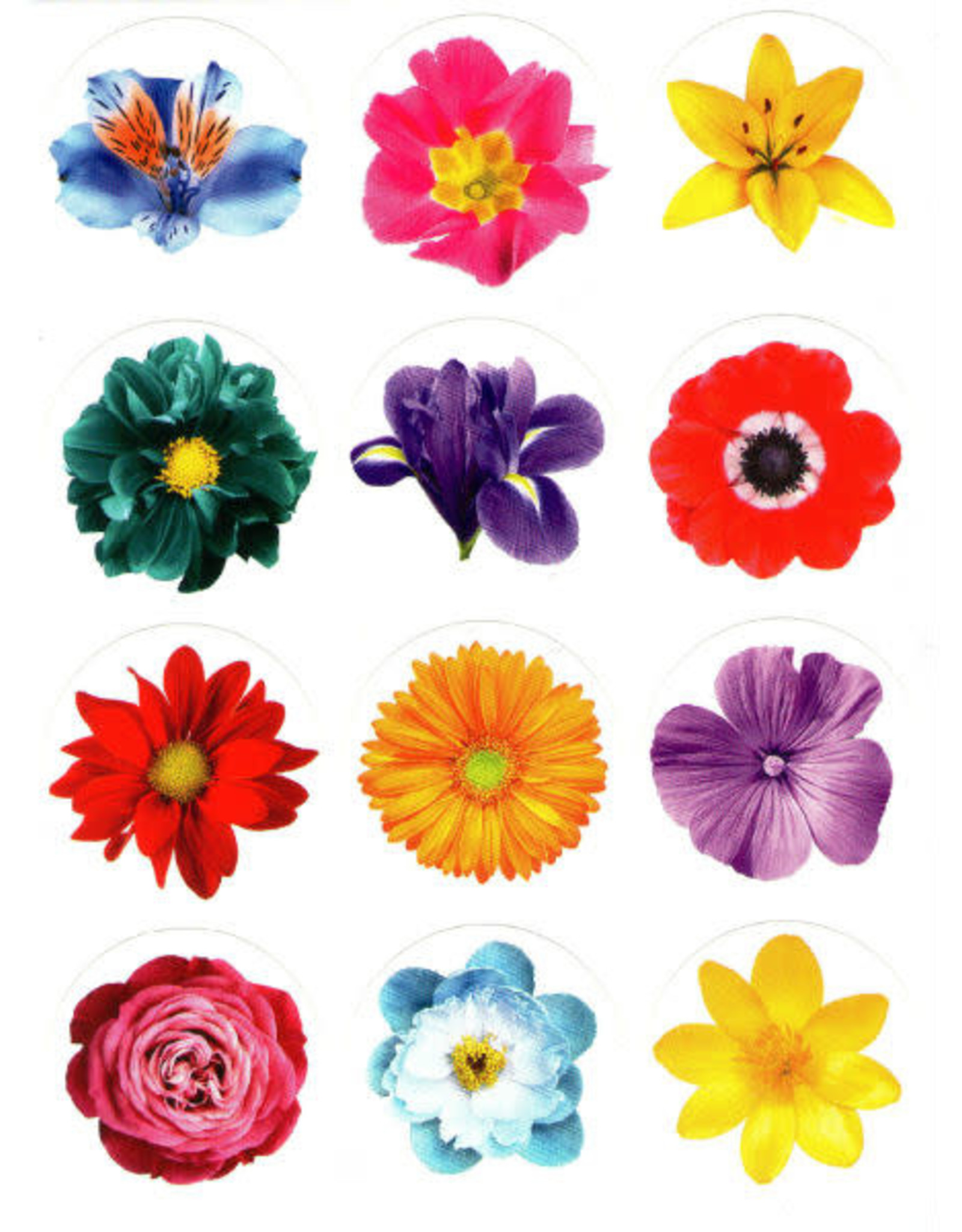 STICKERS: LARGE BRIGHT FLOWER DOT 10 SHEETS