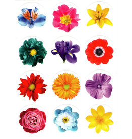 STICKERS: LARGE BRIGHT FLOWER DOT 10 SHEETS