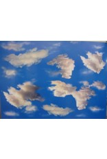 PICTURE OAK TAG:  22X28   SKY BACKGROUND