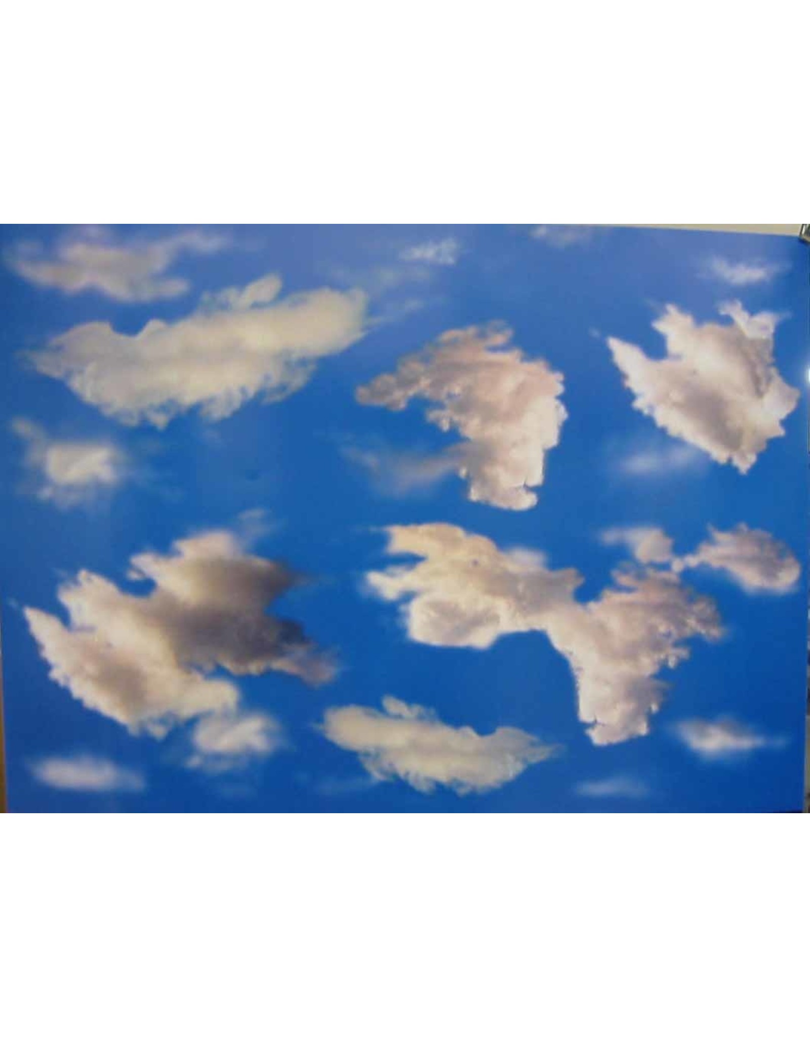 PICTURE OAK TAG:  22X28   SKY BACKGROUND
