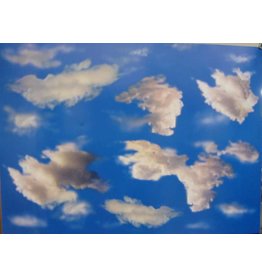PICTURE OAK TAG:  22X28   SKY BACKGROUND