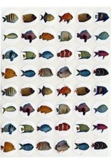 STICKERS: DOT FISH 10 SHEETS