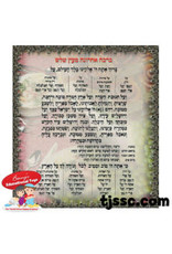 AL HAMICHYA CARD 20PCS