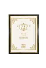 DOCUMENT FRAME WITH GOLD BORDER 8.5"X11"