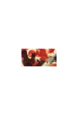 FEATHERS: NATURAL COLORS .50OZ