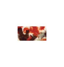 FEATHERS: NATURAL COLORS .50OZ