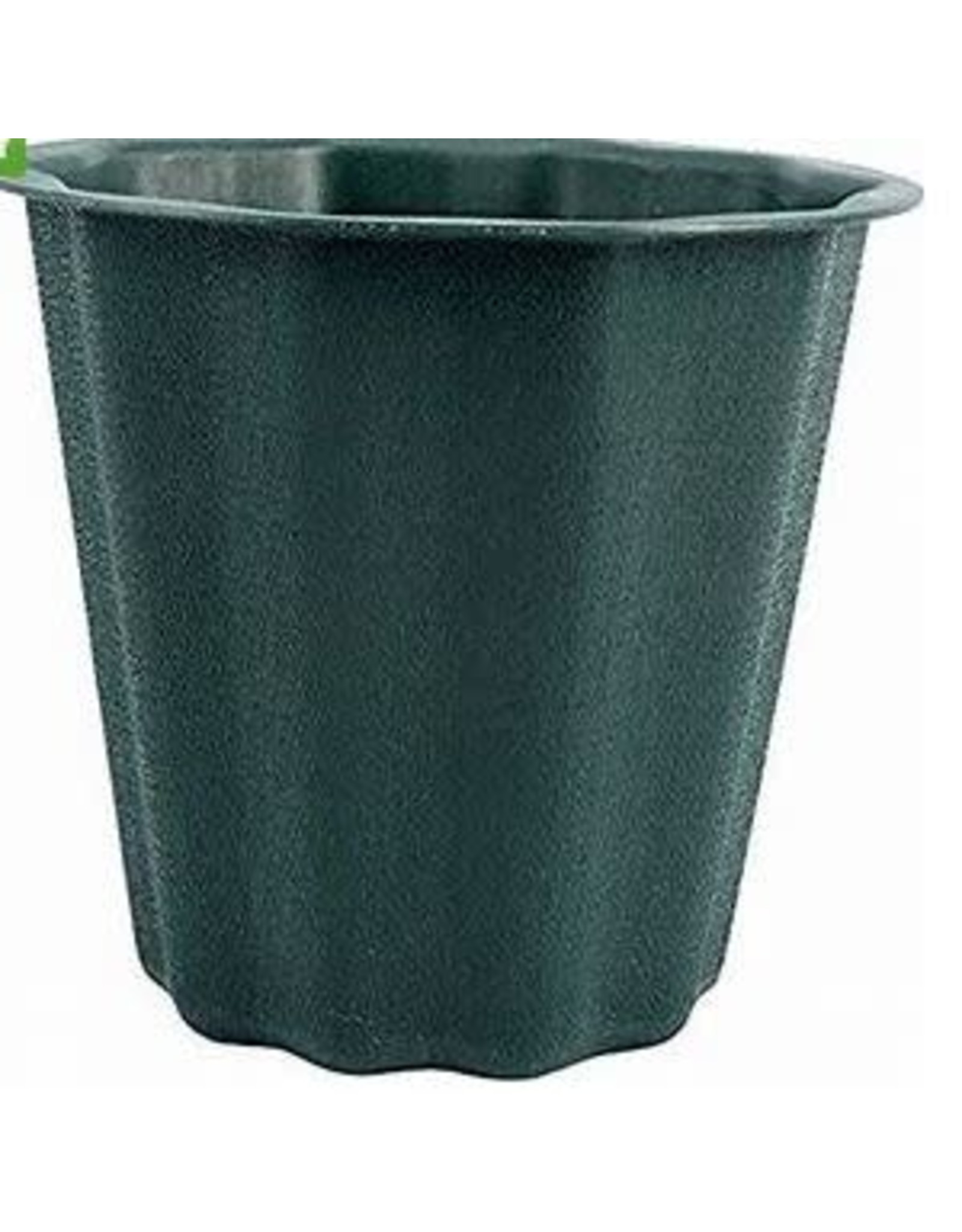 FLORAL PLANTER GREEN  5.5"X5.5"