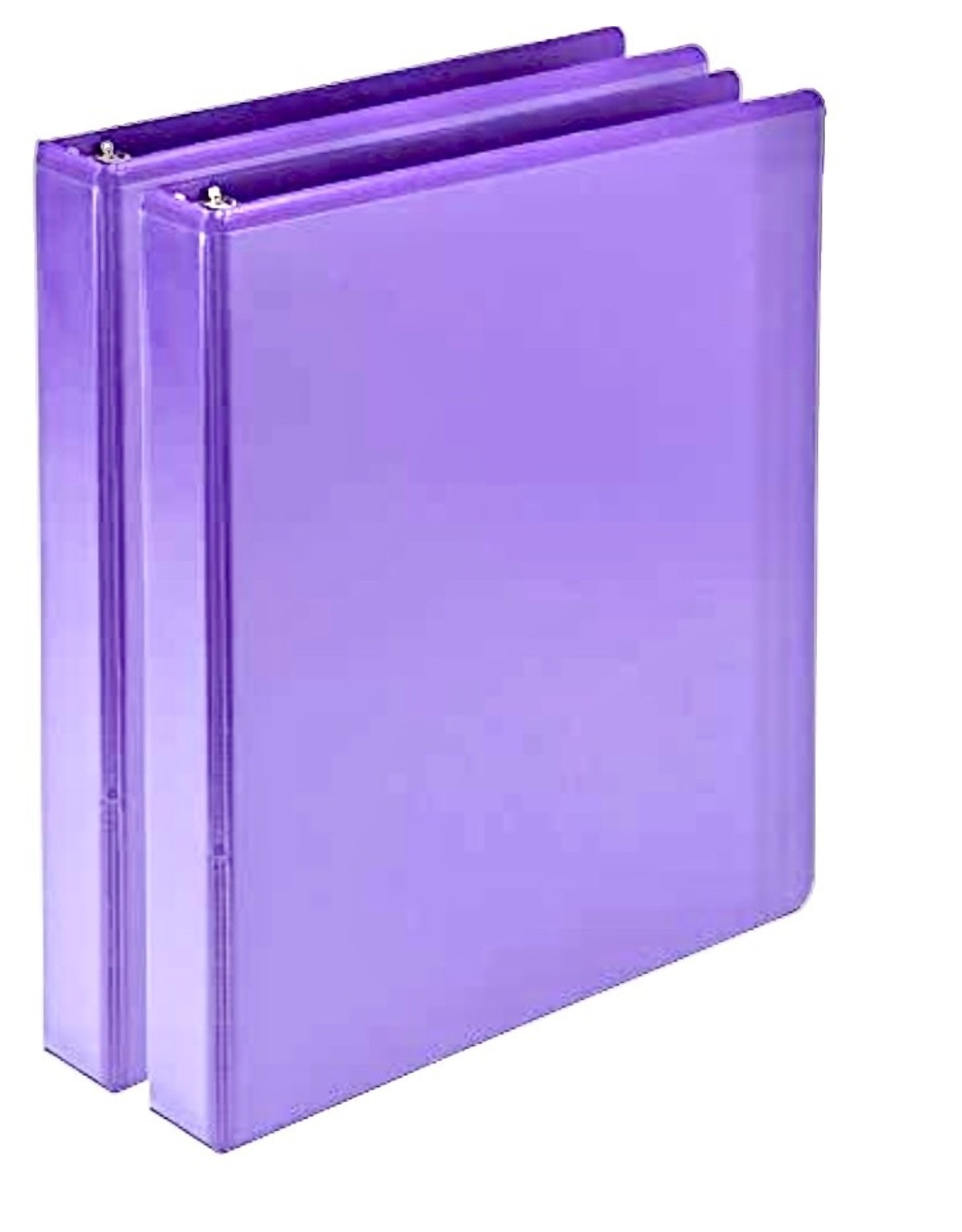 TINTED VIEW BINDER 1"   W/  2PKTS