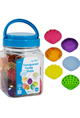 TRANSPARENT TACTILE SEASHELLS 72PC