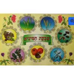 POSTER: SHIVAS HAMINIM 26x19"