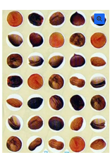 Sticker Dried Fruit
