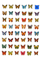STICKERS: BUTTERFLY 10 SHEETS