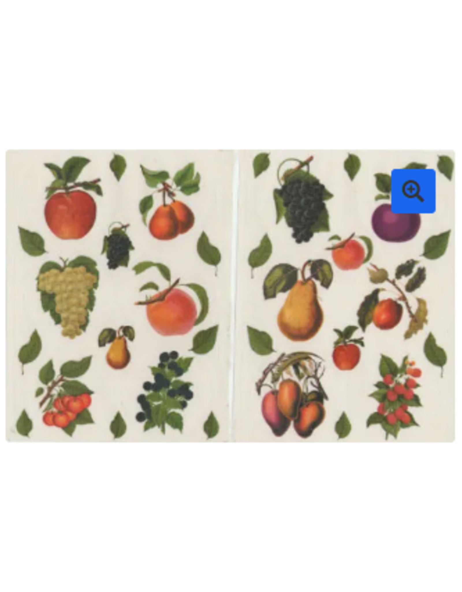 STICKERS: FRUIT DECALS 6 SHT