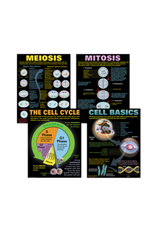 POSTER SET: CELLS
