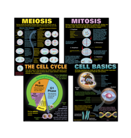 POSTER SET: CELLS
