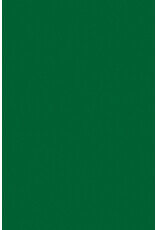 FOAM BOARD -  20"x30" GREEN