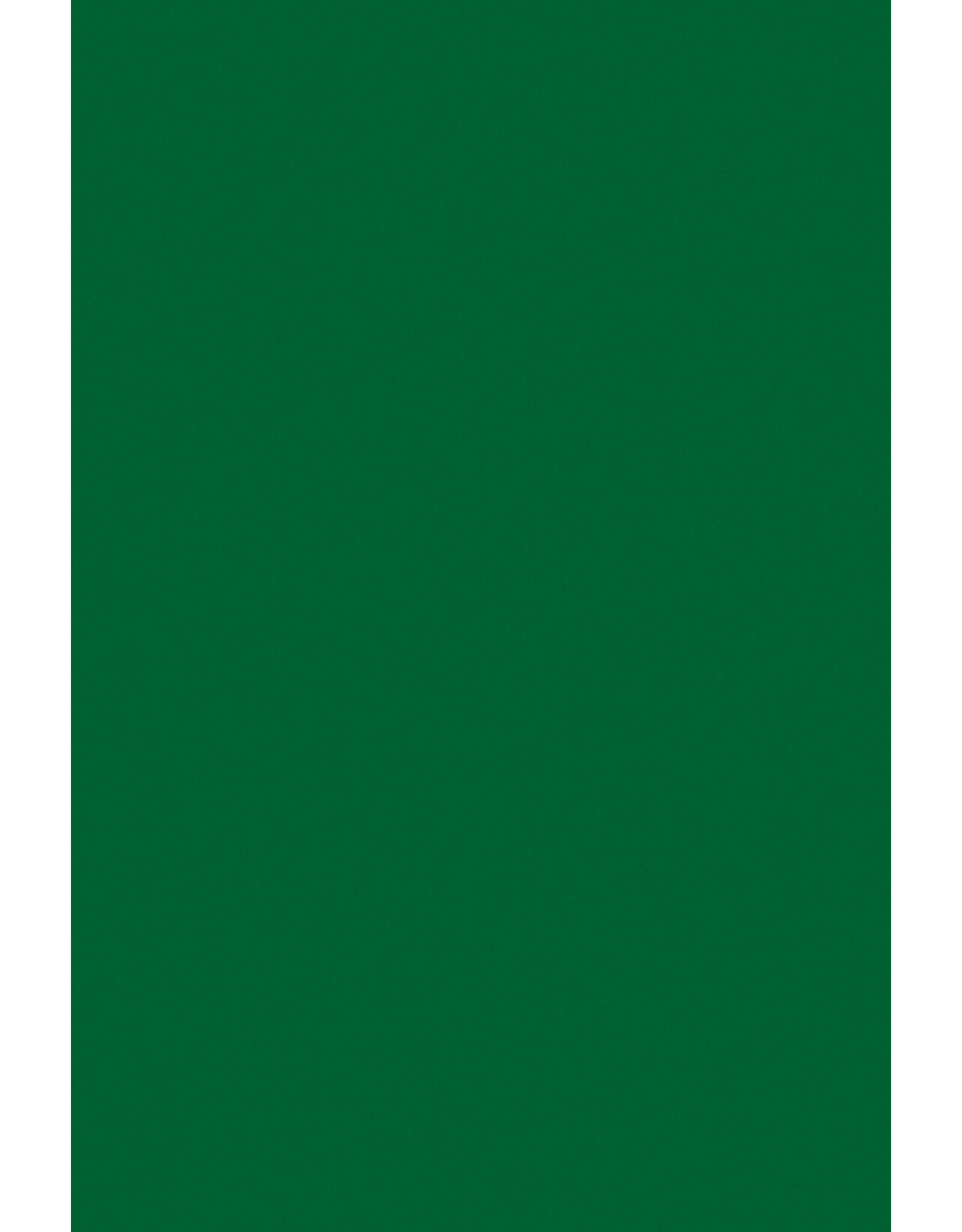 FOAM BOARD -  20"x30" GREEN
