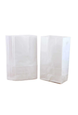 HYGLOSS PAPER BAGS - WHITE - #4 100/PK