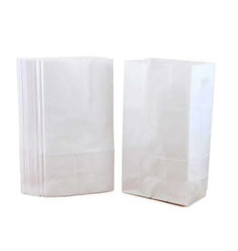 HYGLOSS PAPER BAGS - WHITE - #4 100/PK