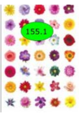 STICKER FLOWER DOT REALISTIC 10 SHT 3/4"