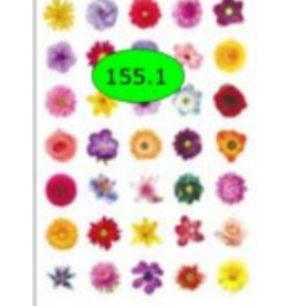STICKER FLOWER DOT REALISTIC 3/4" 10 SHEETS