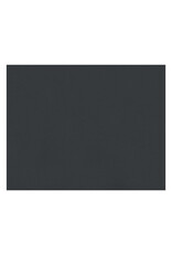OAK TAG: 22x28,  BLACK 100 SHEETS