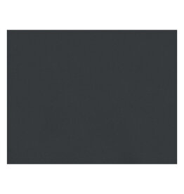 OAK TAG: 22x28,  BLACK 100 SHEETS