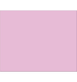 OAK TAG: 22x28,  PINK 100 SHEETS