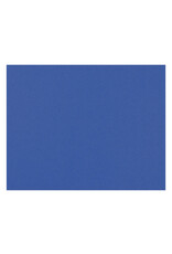 OAK TAG: 22x28,  DARK BLUE 100 SHEETS
