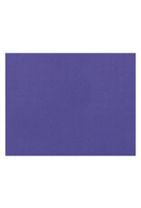 OAK TAG: 22x28,  PURPLE 100 SHEETS